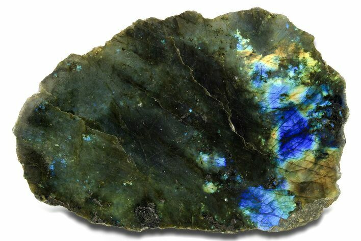 Single Side Polished Labradorite Section - Madagascar #295479